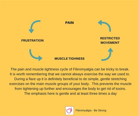 Stretching Exercises Fibromyalgia Movement Muscle Remember Tips Muscles Stretching