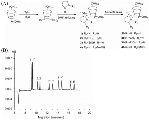 (A) Synthesis of alkyl pyrrolidine substituated single isomer CDs. (B)... | Download Scientific ...