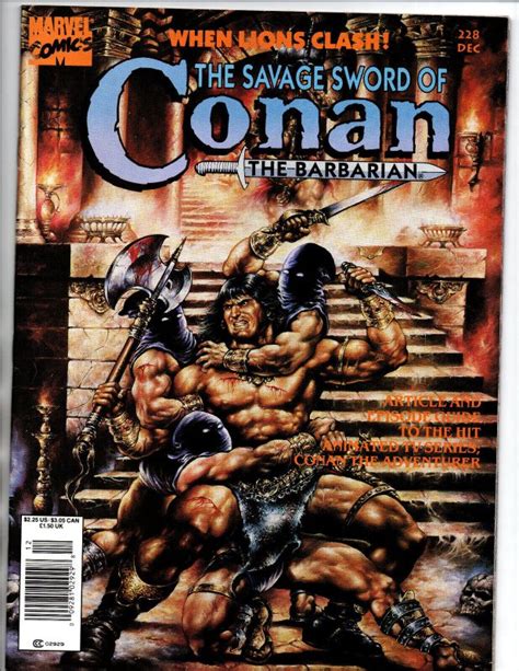 The Savage Sword Of Conan The Barbarian 228 1994 VF Comic Books