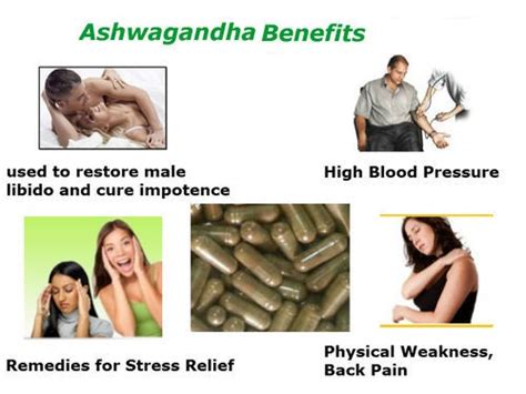 7 Amazing Benefits Of Ashwagandha Root For Women Articlecube