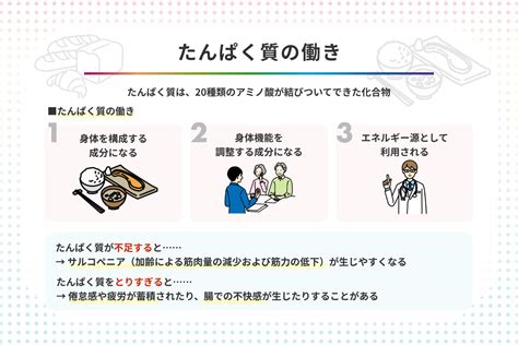 たんぱく質の働きは 不足・過剰によるリスクや摂取の基本知識も紹介