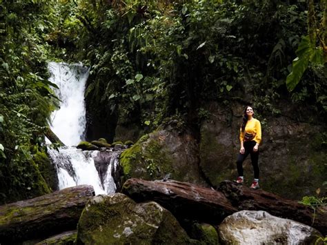 How To Visit Mindo Cloud Forest From Quito In Ecuador Kitti Around