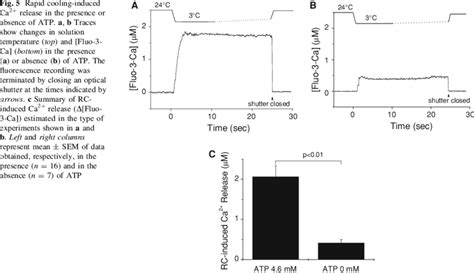 Rapid Cooling Induced Ca 2 Release In The Presence Or Absence Of Atp Download Scientific