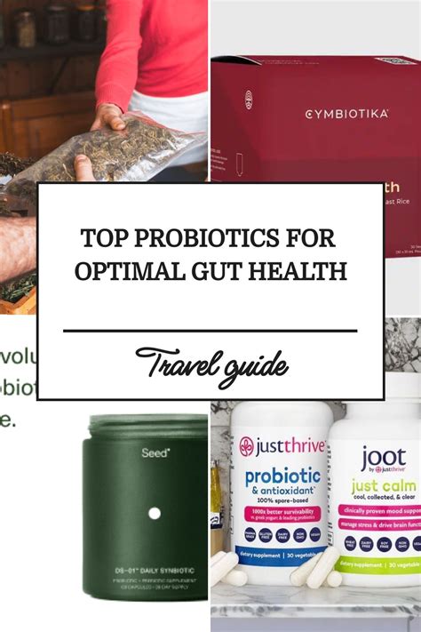 Top Probiotics For Optimal Gut Health