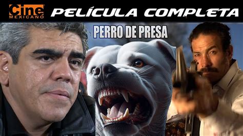 Perro De Presa Pel Cula Completa Cine Mexicano Jorge Reynoso Youtube