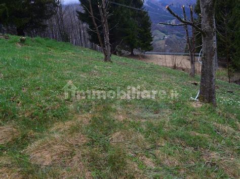 Terreno Edificabile Via Sasso Della Volpe Oltre Il Colle Rif