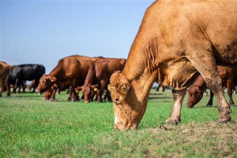 El Antropoceno ya inició científicos hallan pruebas de que comenzó el