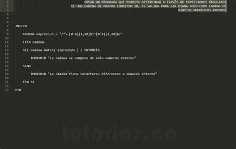 Funciones Pseudocodigo Expresion Regular Numeros Enteros Tutorias Co