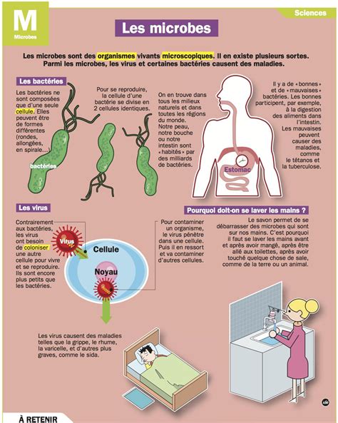 Épinglé sur Santé