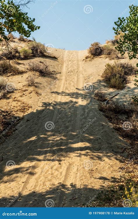 Off Road Tire Tracks in Sand Up Steep Sand Dune Hill Stock Photo - Image of fallen, plants ...