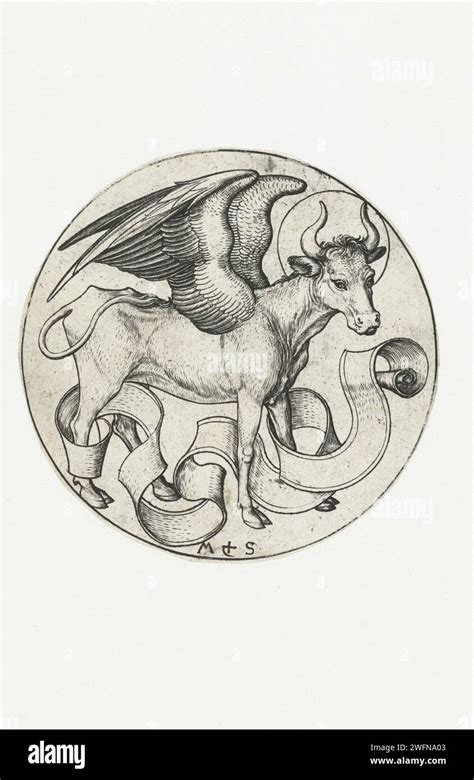 Symbols Of The Four Evangelists Martin Schongauer C 1470 1491 Print A Winged Ox With A