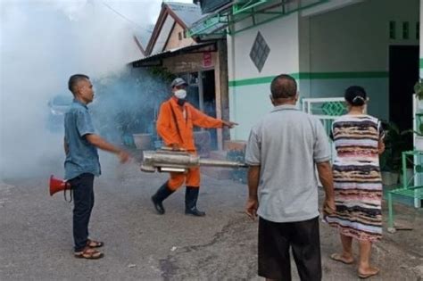 Dinkes Karang Taruna Kota Kupang Lakukan Pengasapan Cegah Dbd