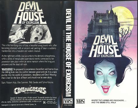 Pin on The Best Horror VHS Box Art