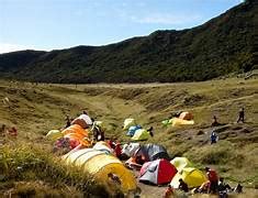 Bikin Ngeri Para Pendaki Inilah Mistis Di Gunung Pangrango Paling