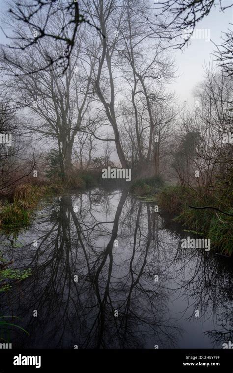 Morden Hall Park River Wandle Hi Res Stock Photography And Images Alamy