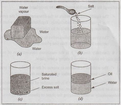 Veerapandian K Assistant Professor Phase Diagrams