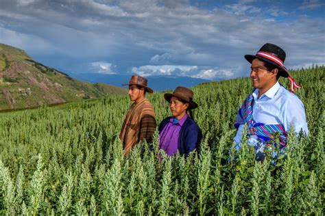 D A Del Campesino Un Homenaje A Quienes Hacen Posible Que Nuestra