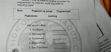 Pa Sagot Po To Kasi Kailangan Ko Po To Brainly Ph