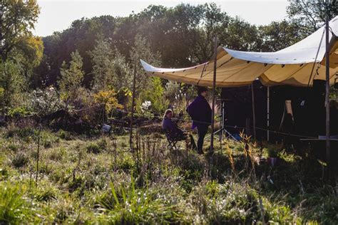 De Tijd Van Voedselbossen Is Nu De Gezonde Stad