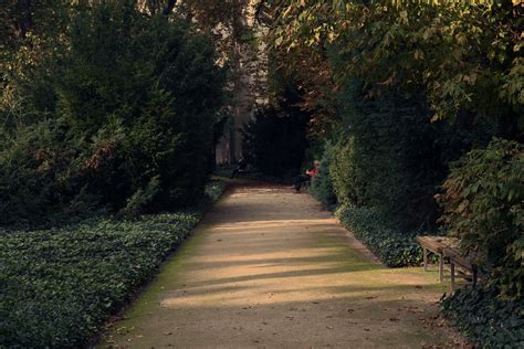 Free Images Landscape Tree Nature Forest Grass Road Lawn