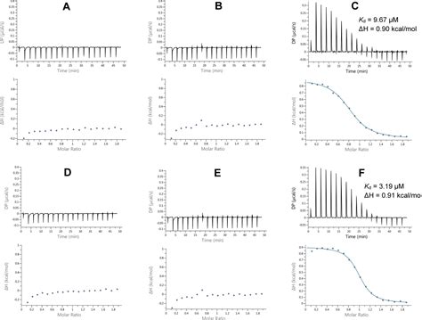 Novel Cephalosporin Conjugates Display Potent And Selective Inhibition