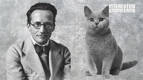 Schrödinger’s Cat Explained So You Can Finally Understand It