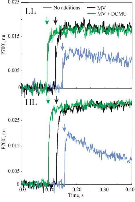 Kinetics Of P700 Oxidation Measured On Bundle Sheath Bs Strands Download Scientific Diagram