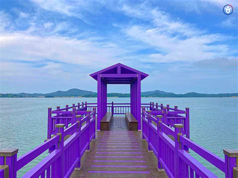 Duta Wisata Korea Purple Island