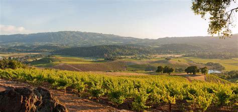 Best Time To Visit Sonoma