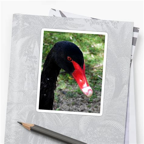 Black Swan Sticker By Moonshinepdise Redbubble