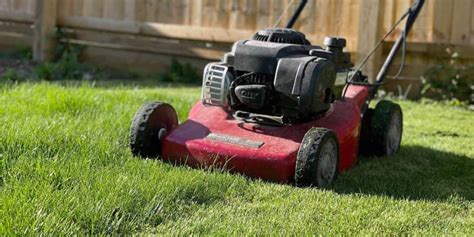 The Best Petrol Lawn Mowers For Gardens of Every Size | Tried & Tested