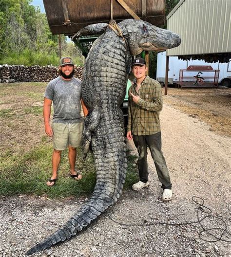 Largest Crocodile Ever Recorded