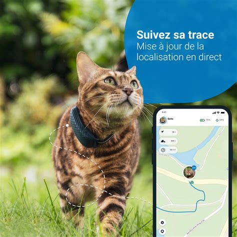 Tractive Localizador Gps Cat Para Gato Seguimento De Actividade