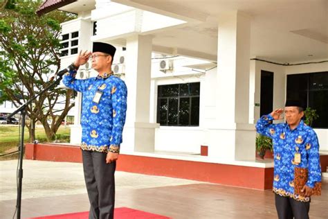 Pimpin Upacara Hari Kesadaran Nasional Begini Pesan Penting Inspektur