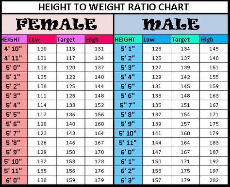 Height To Weight Charts Templates Forms