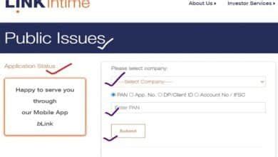 How To Check Your Link Intime IPO Allotment Status Online