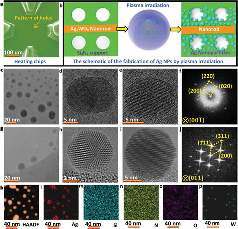 In Situ Atomicscale Observation Of Kinetic Pathways Of Sublimation In