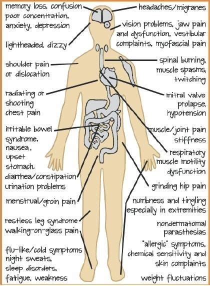 Lyme Disease My Journey Lyme And Co Infections