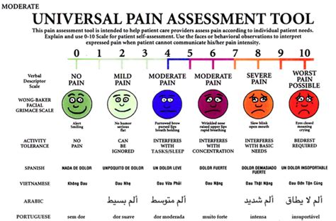 Universal Pain Diagram