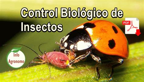 Control De Plagas Archives Infoagronomo Control Biológico Sistemas De Cultivo Hidropónico