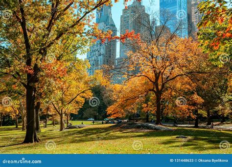 Autumn Landscape In Central Park New York City Editorial Stock Photo