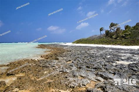 Coralbank At Bikini Beach Bikini Atoll Micronesia Pacific Ocean Marshall Islands Stock
