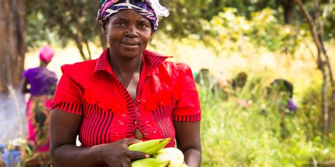 How Cop27 Can Deliver Climate Justice For Rural Women Cgiar Gender