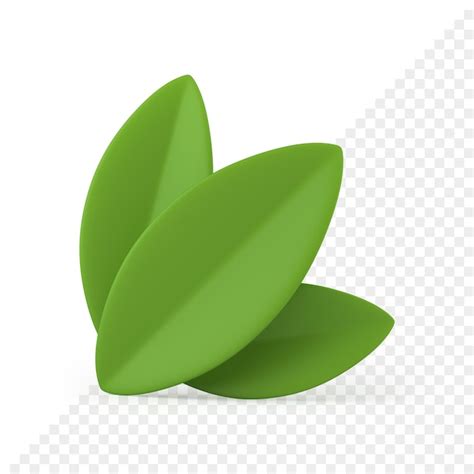 Follaje verde verano primavera pascua elemento de decoración icono 3d