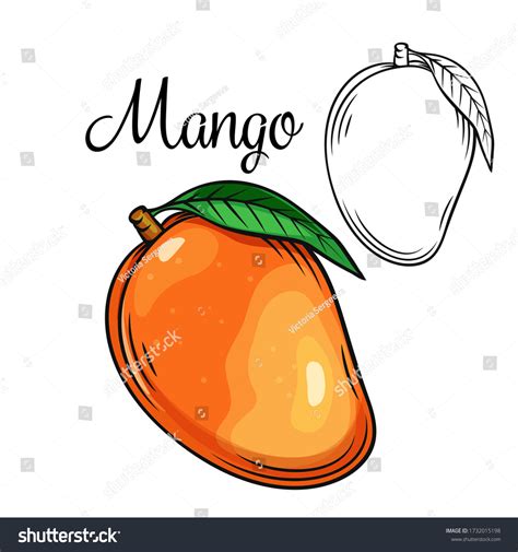 Mango Vector Drawing Icon Hand Drawn Stock Vector (Royalty Free ...