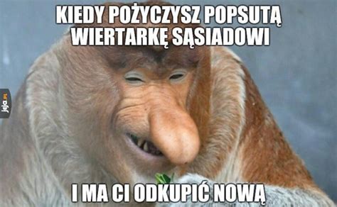 Typowy Janusz Jeja Pl