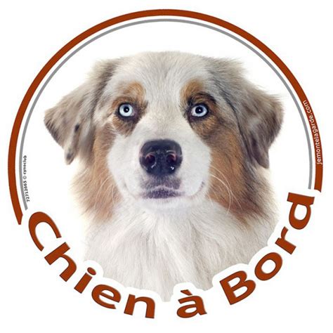 Aussie Sticker Autocollant Rond Chien Bord Cm