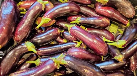 Eggplant ‘diamond Seeds Certified Organic Garden Hoard Certified