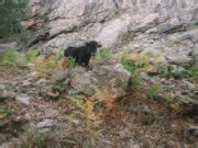 Cascades De Radule Et Bergerie Une Randonn E Relativement Facile