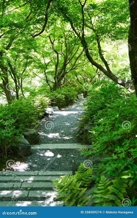 The Garden Stairway Inside Tofuku Ji Temple Kyoto Japan Stock Photo